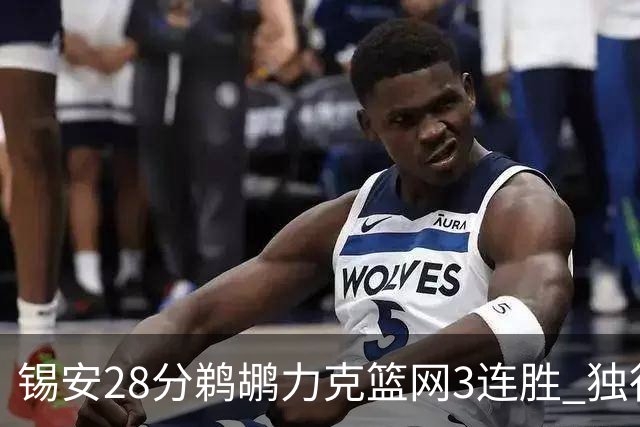 锡安28分鹈鹕力克篮网3连胜 独行侠险胜马刺